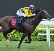 Dark Matter<br>Photo by Singapore Turf Club